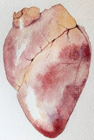 Elk Heart