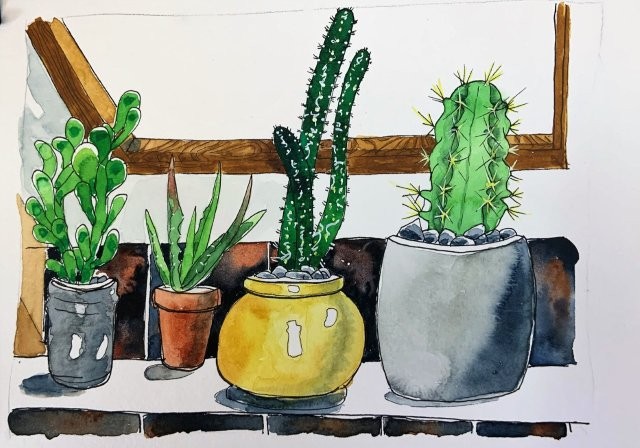 Plants on a Sunny Windowsill