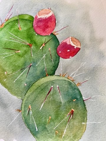 Prickly Pear